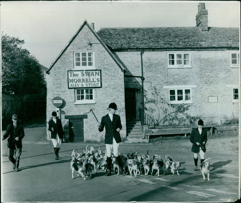 The Master of Christ Church hounds and Beagles in pursuit of a fox during a meet at Islip, England. - Vintage Photograph