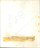 A group of people stand in a line outside a pub in London, England. - Vintage Photograph