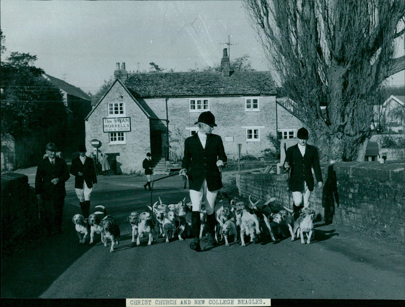 The Swan Morrell Ale & Stout Christ Church beagles walk in Oxford, England. - Vintage Photograph