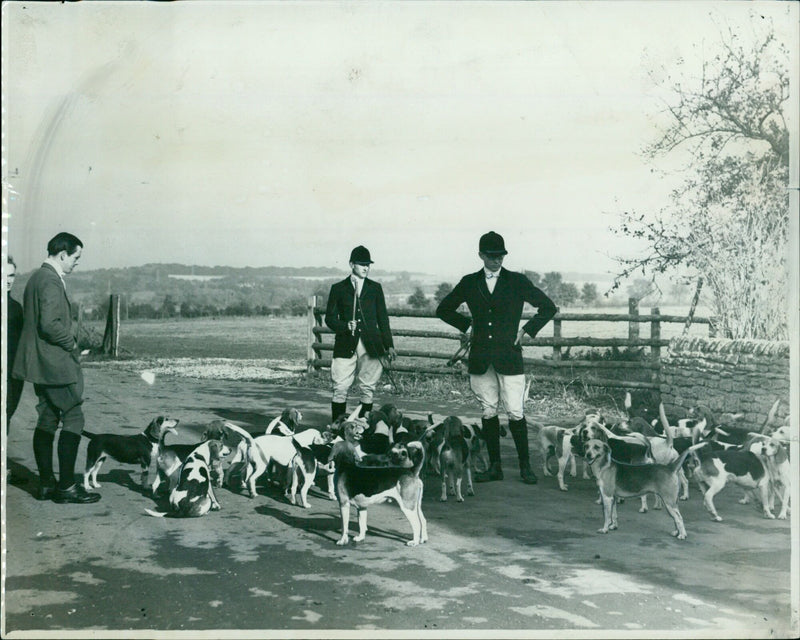 Beagles from Christ Church and New College meet at Lower Whitley Farm in Farmoor. - Vintage Photograph