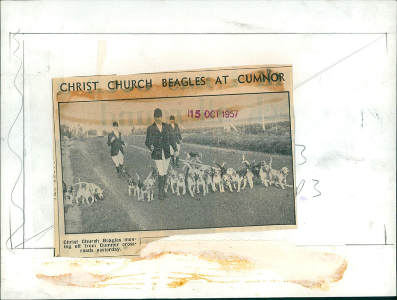 Members of the Christ Church Beagles hunting group are seen leaving Cumnor Crossroads in Oxfordshire, England. - Vintage Photograph