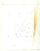 A large crowd of people gathered to celebrate the 25th anniversary of the Apienie uprising. - Vintage Photograph