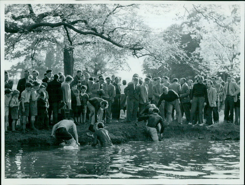 St. Peter's Hall R.F.C. and Brasenise R.F.C. compete in a tug of war on May 18, 1956. - Vintage Photograph