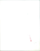 The Beagle B 206 aircraft on the runway. - Vintage Photograph