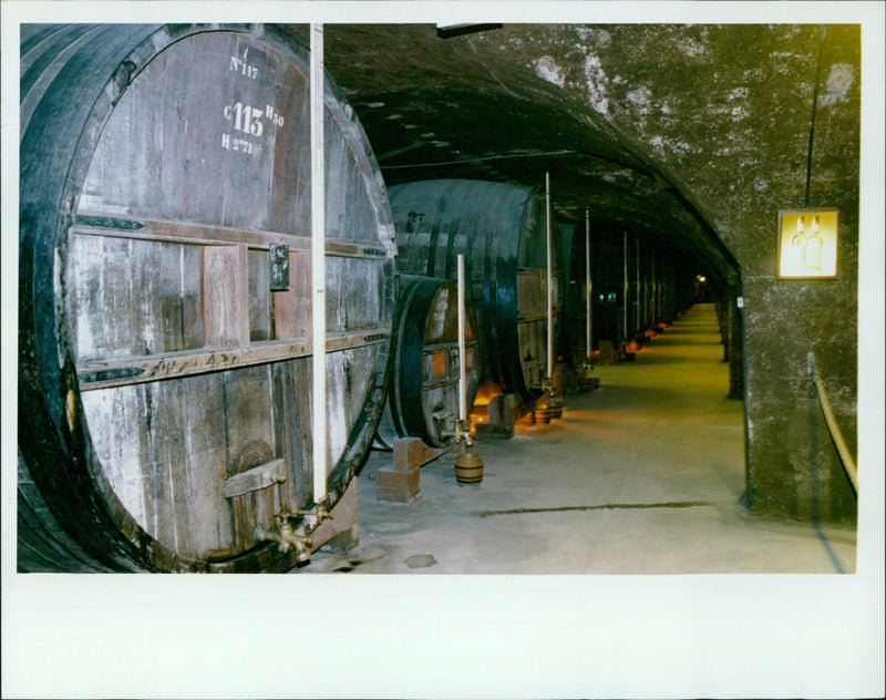 Customers browse a variety of alcoholic beverages in a cellar shop. - Vintage Photograph