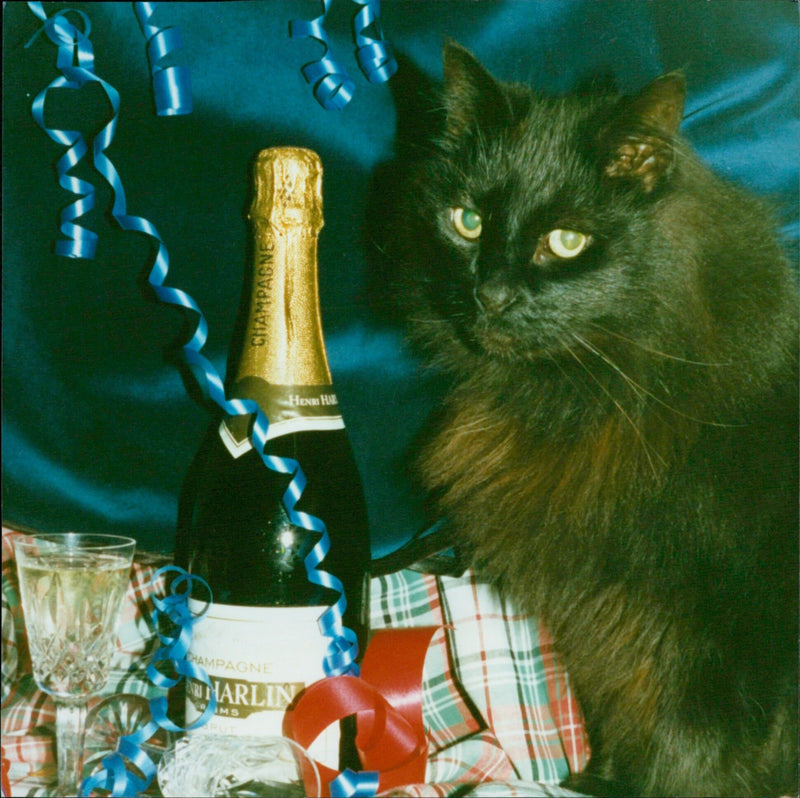 Two bottles of champagne are seen at a winery. - Vintage Photograph