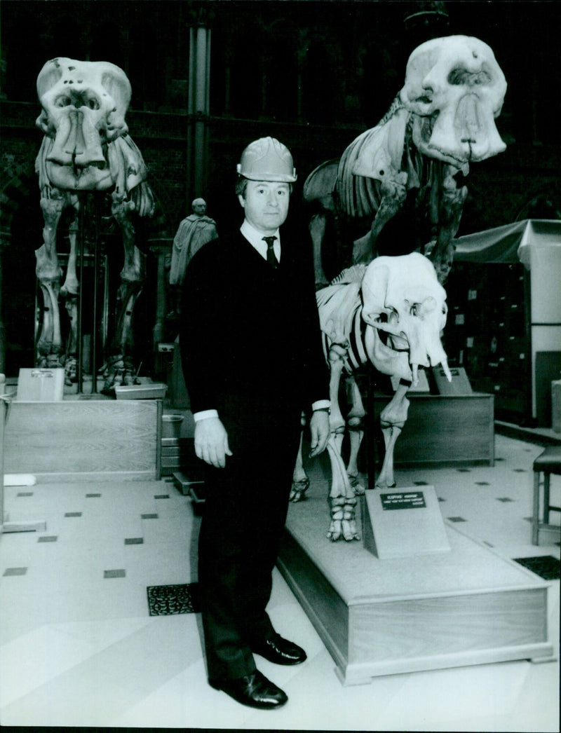 The University Museum in Oxford is closed due to storm damage to the roof. - Vintage Photograph