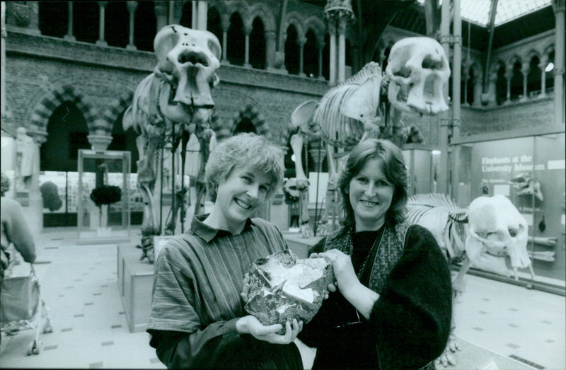 Judy Levy presents a specimen of pyrite to Monica Price at the University Museum presentation. - Vintage Photograph