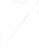 French racing driver Max Verstappen celebrates his win with a bottle of champagne. - Vintage Photograph