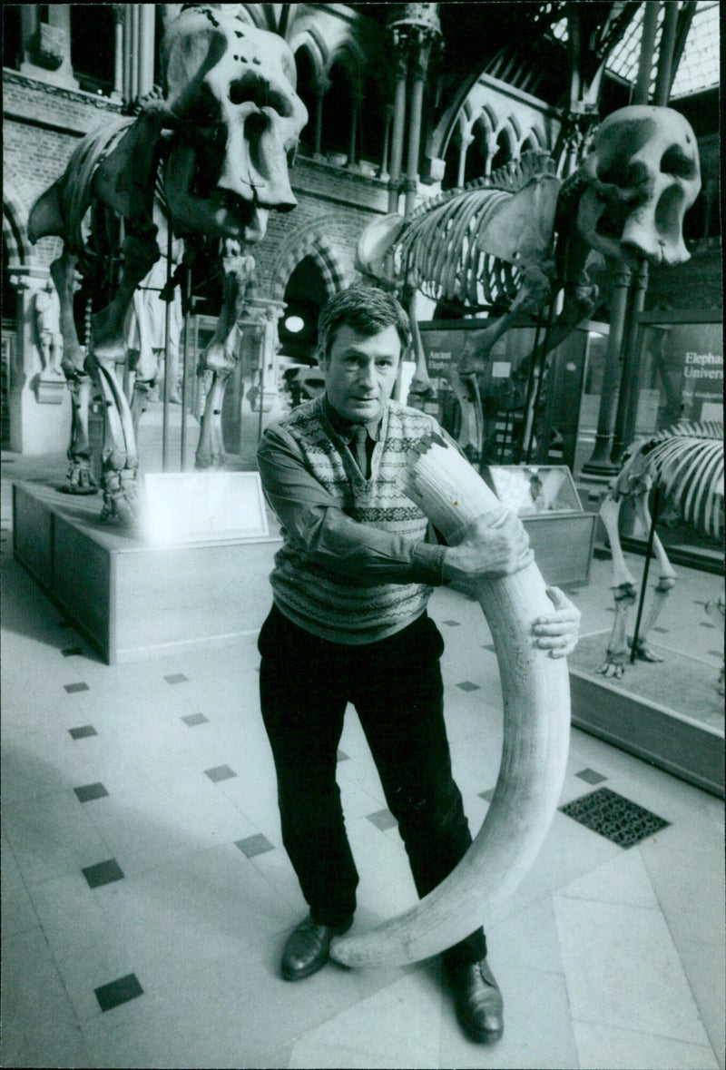 Stephen Eeley holding an elephant's trunk in front of skeletons and two elephants. - Vintage Photograph