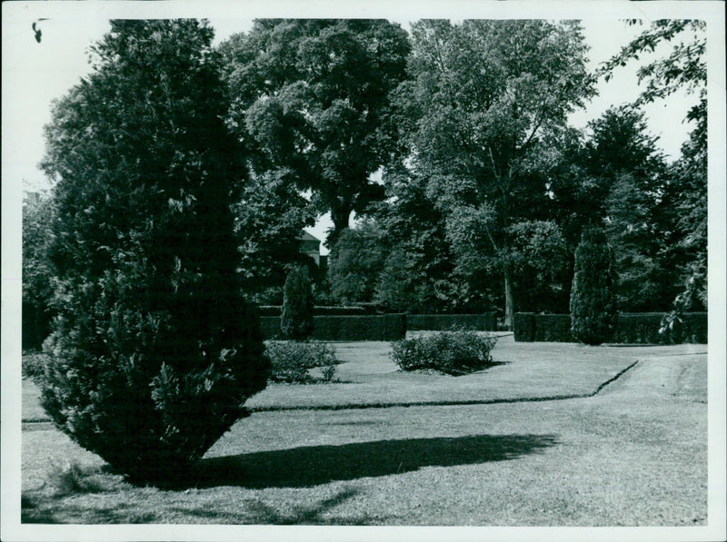 Lady Margaret Hall Fellow in the Garden at Oxford University. - Vintage Photograph