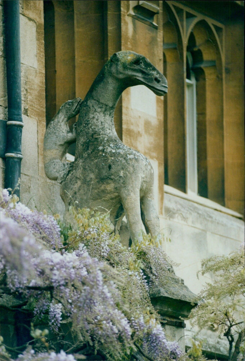 A student dressed as a mythical figure at Magdalen College, University of Oxford. - Vintage Photograph