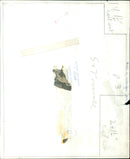 A 1969 model of a voellungball square in Loellington P. - Vintage Photograph