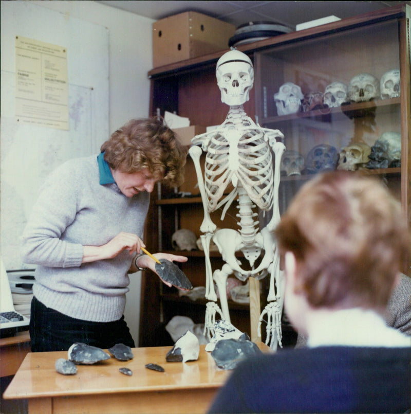 Students learn about anthropology in university course units. - Vintage Photograph