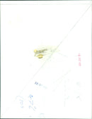 A soldier stands guard near the Berlin Wall in October 1977. - Vintage Photograph