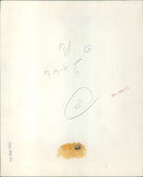 A family of four walking hand in hand on a sunny day. - Vintage Photograph