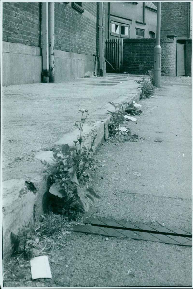 Rubbish on the edge of the pavement in Oxford. - Vintage Photograph