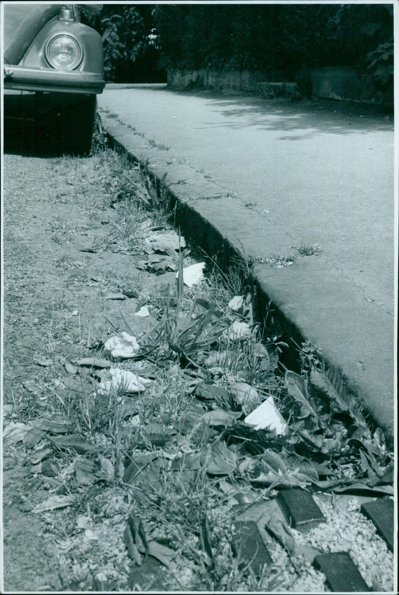 Rubbish and weeds in the street at Park Town. - Vintage Photograph