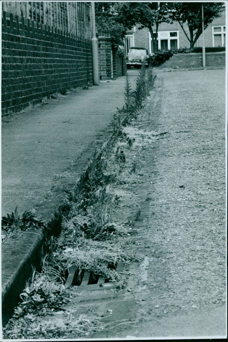 Residents of East Oxford clear weeds from a gutter. - Vintage Photograph