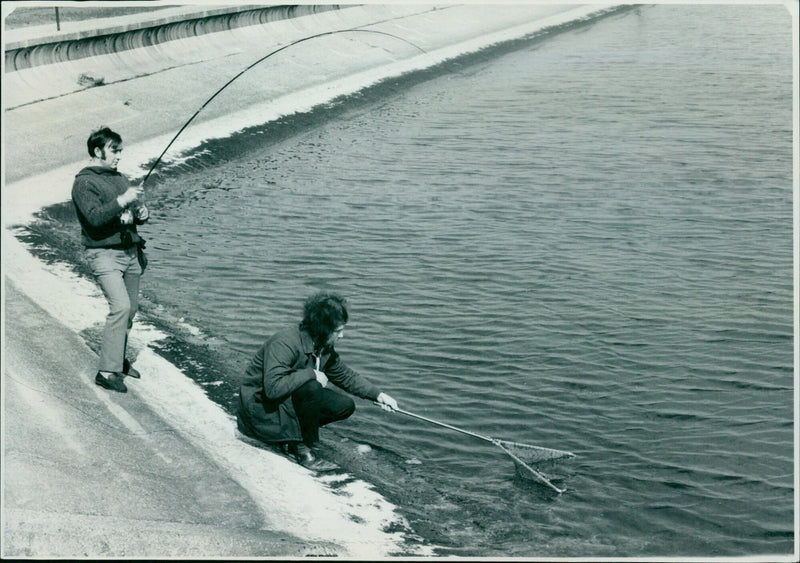 Fisherman Fred Faylor holds a trout he caught while fishing. - Vintage Photograph