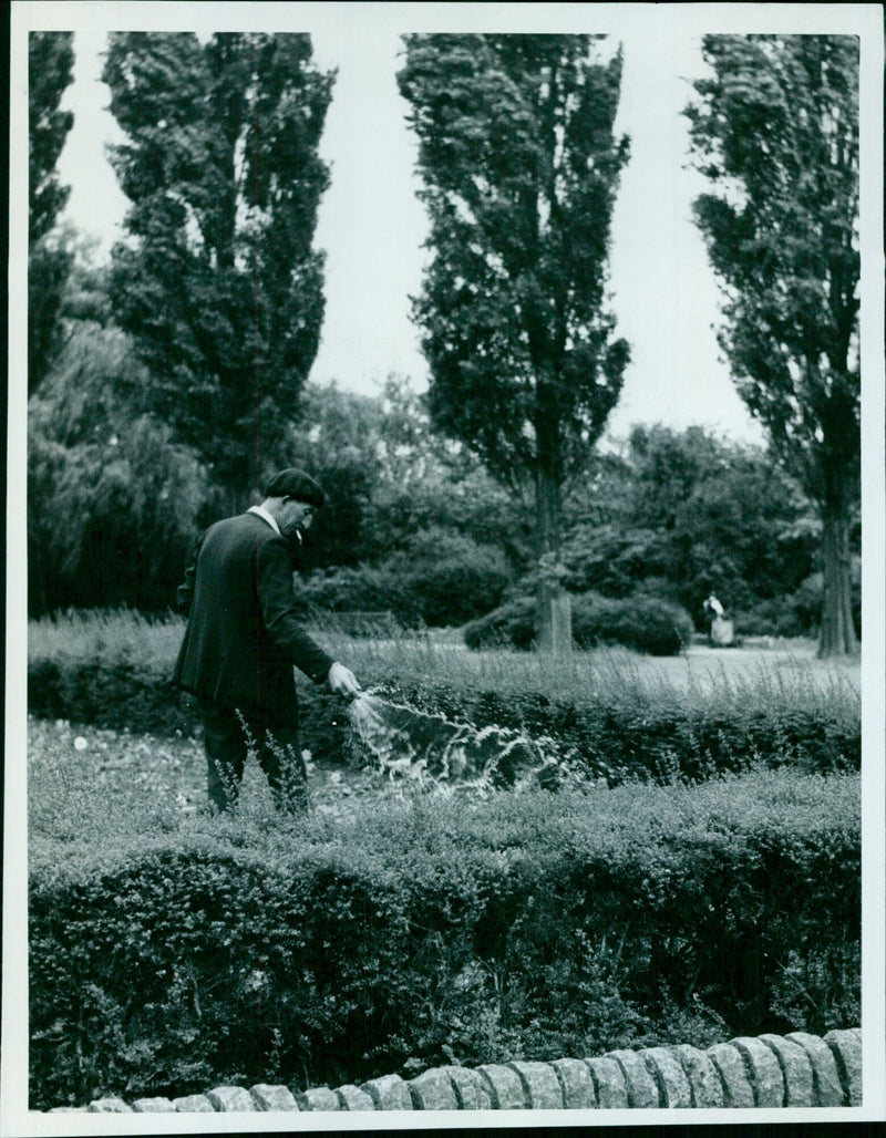 Students tending to flower beds at Florence Park in Oxford, England. - Vintage Photograph