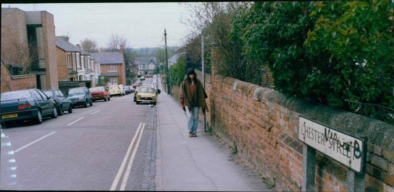 Street art depicting a cheetah on Chester Street in Oxford. - Vintage Photograph