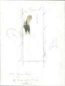 Elementary school students enjoying their lunch on the playground. - Vintage Photograph