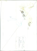 Pope Francis waves to the crowd during a visit to Tursi, Italy. - Vintage Photograph