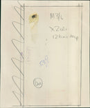 Staff members of a company measuring a trench. - Vintage Photograph