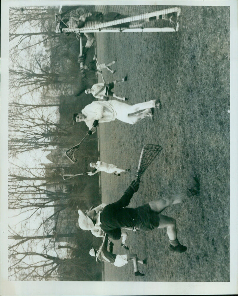 A cacao tree being pruned in an Oxfordshire orchard. - Vintage Photograph