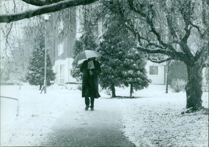 A figure braves the winter weather in Southfield Park. - Vintage Photograph