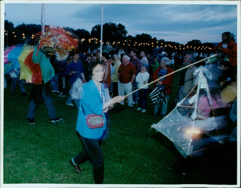 Spectacular night in South Parks, Oxfordshire. - Vintage Photograph