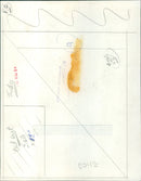 Two judo athletes competing at the 2020 Tokyo Olympic Games. - Vintage Photograph