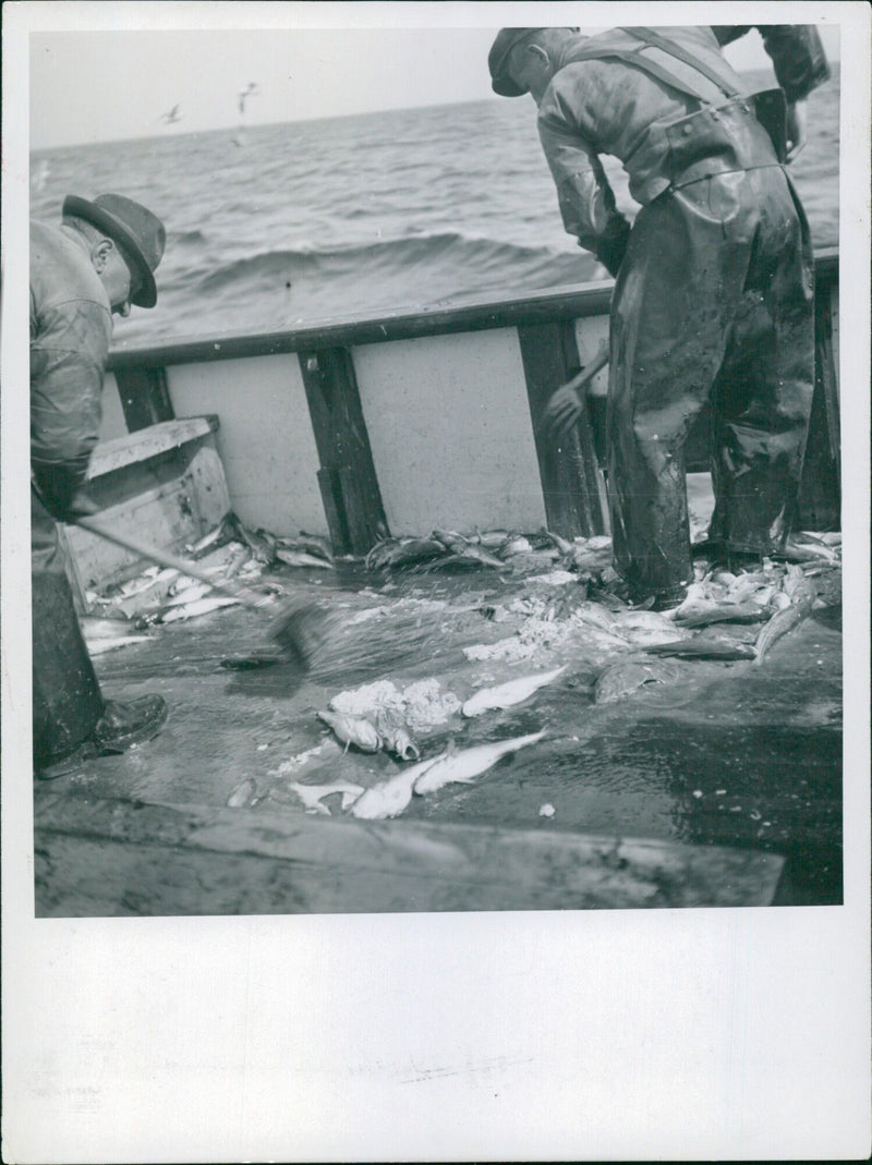In this 1945 photo, a woman is seen walking past a destroyed building in Stockholm, Sweden. - Vintage Photograph