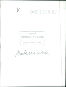 A man stands atop a mountain peak in the Montaniana region of Japan, surveying the landscape below. - Vintage Photograph