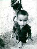 A man stands atop a mountain peak in the Montaniana region of Japan, surveying the landscape below. - Vintage Photograph