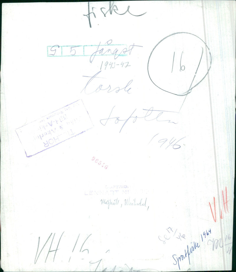 Five fishermen from different countries gather on a beach to take part in a traditional fishing tournament in 1964. - Vintage Photograph