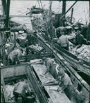Five fishermen from different countries gather on a beach to take part in a traditional fishing tournament in 1964. - Vintage Photograph