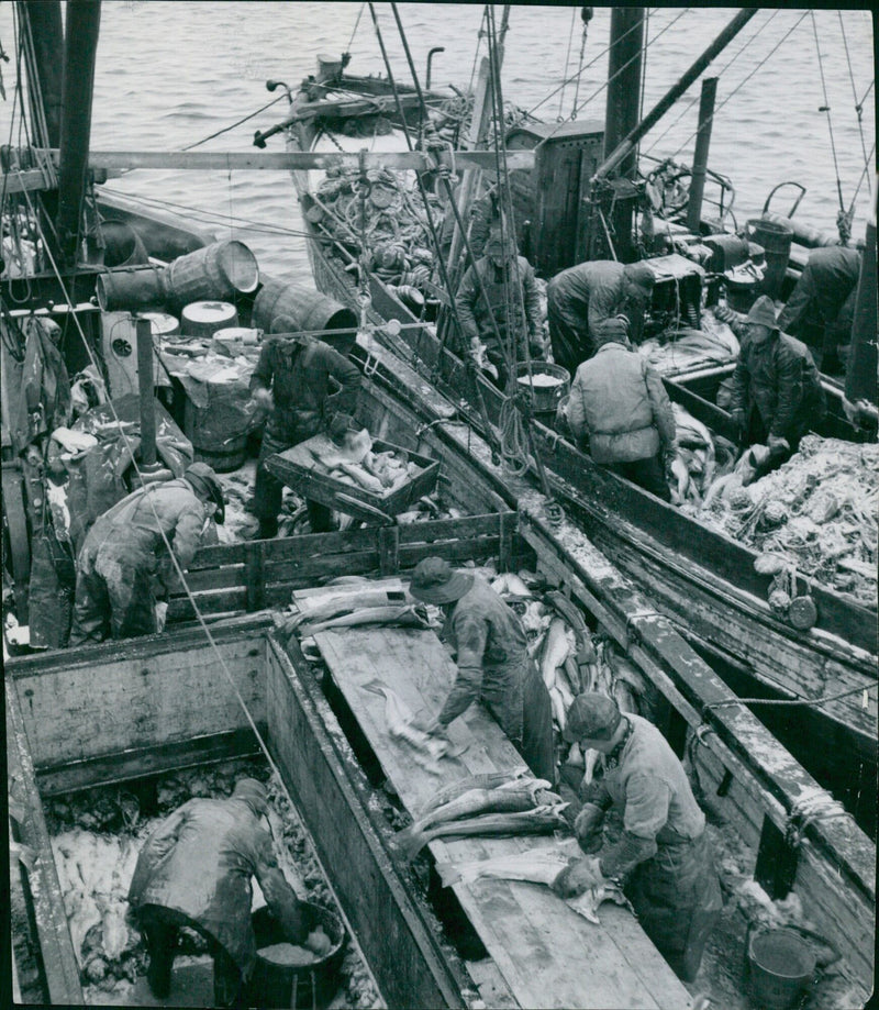 Five fishermen from different countries gather on a beach to take part in a traditional fishing tournament in 1964. - Vintage Photograph