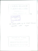 Two white and one black swans stand in the sun at a lake in Stockholm, Sweden. - Vintage Photograph