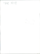 A group of students celebrates their graduation from IES AAG 6101 We with a joyful embrace. - Vintage Photograph