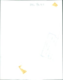 In this image taken on July 4, 2021, a crowd of people gather to celebrate the Fourth of July in Washington, DC. - Vintage Photograph