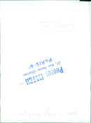 Two koalas, Sebergs and Develop, are seen interacting at the Pierre-Charron Zoo in Paris, France. - Vintage Photograph