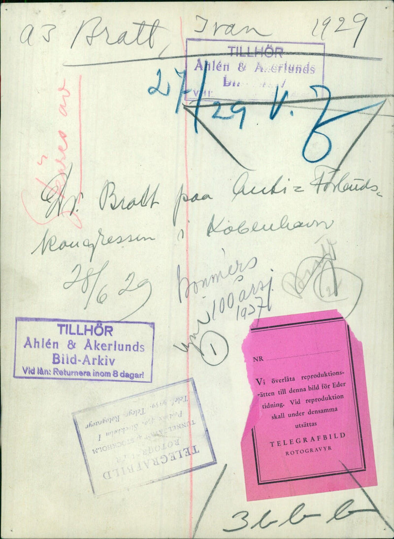 Members of the Swedish delegation attending the International Congress of Women in 1929 in The Hague, Netherlands. - Vintage Photograph