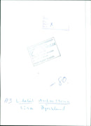 A group of people gather to protest the use of Lidebil Lina in Sweden on 15 S-121 lm. - Vintage Photograph