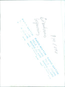 French President Charles de Gaulle, flanked by Prime Minister Maurice Couve de Murville and General Dwight Eisenhower, review the troops at the Elysee Palace in Paris, on July 7, 1962. - Vintage Photograph