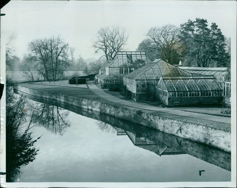 A tranquil winter scene in the Botanic Gardens in Oxford, England. - Vintage Photograph