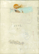 A fleet of ships sailing through the Suez Canal in Egypt on March 26, 2021. - Vintage Photograph