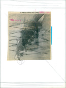 Queen's University's basketball team celebrating after winning the division title. - Vintage Photograph