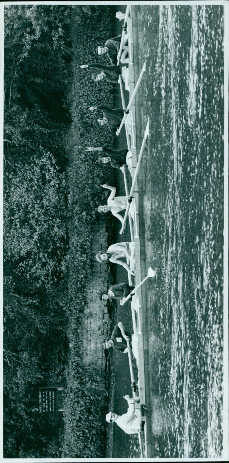 Pembroke College first eight give the thumbs up to their supporters after achieving an overbump. - Vintage Photograph